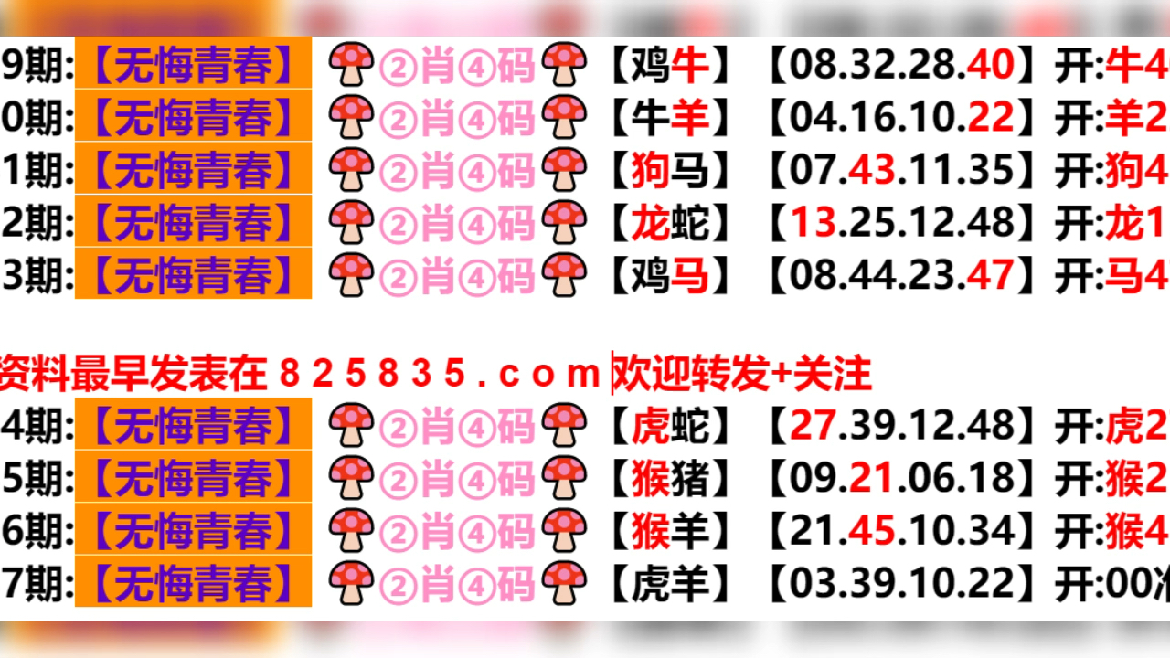 2024年新奥门天天开彩，综合解答解释落实_3D24.34.55