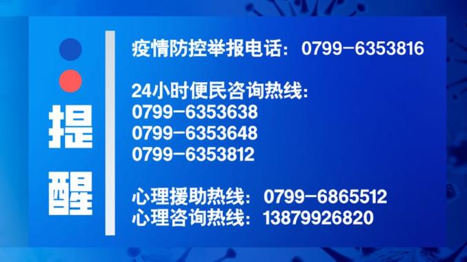 2024年12月8日 第10页