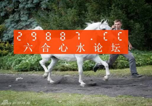 7777788888新版跑狗图，最快解答解释落实_The62.79.83