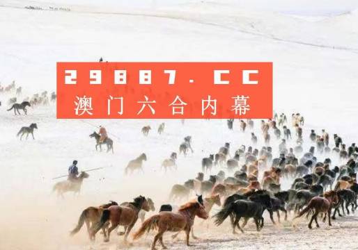 4949澳门今天开的什么码，资本解答解释落实_iPad15.68.89