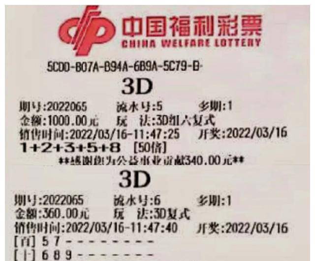 新奥彩资料大全免费查询，综合解答解释落实_3D24.34.55