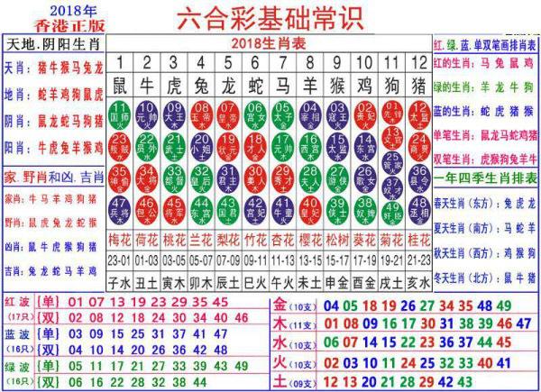 澳门正版资料大全资料生肖卡，最准解答解释落实_VIP34.50.52