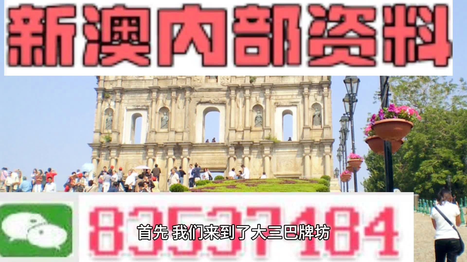 新澳门资料全年免费精准，数据解答解释落实_3D80.39.29