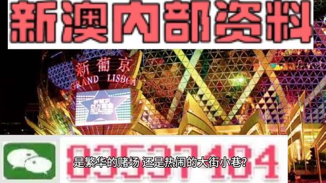 新澳门精准资料大全管家婆料，现象解答解释落实_VIP22.97.35