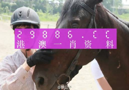 澳门今晚必中一肖一码，可靠解答解释落实_HD34.26.34