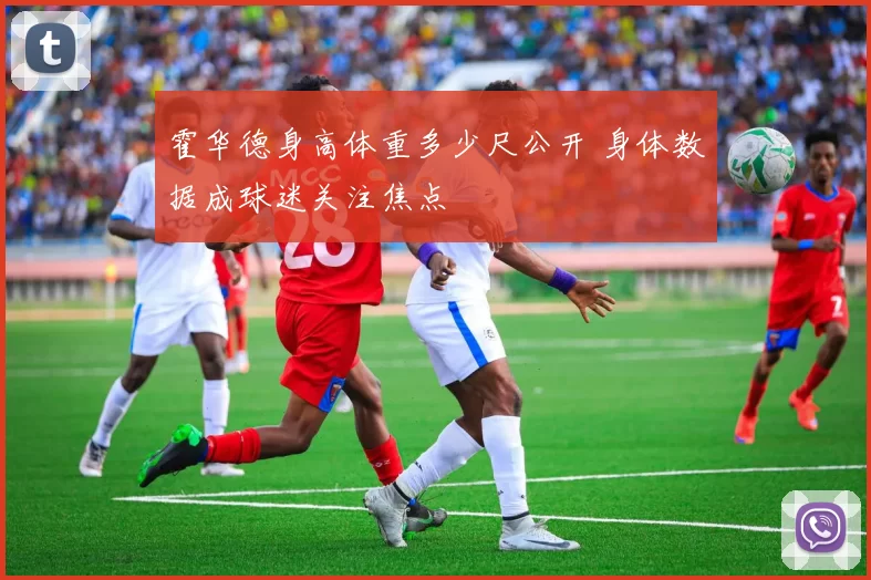 霍华德身高体重多少尺公开 身体数据成球迷关注焦点