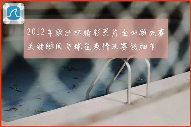 2012年欧洲杯精彩图片全回顾决赛关键瞬间与球星表情及赛场细节