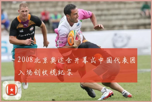 2008北京奥运会开幕式中国代表团入场创收视纪录