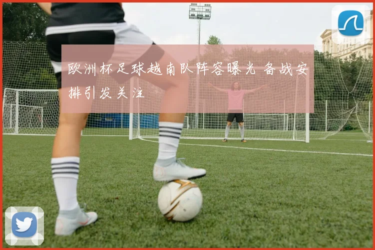 欧洲杯足球越南队阵容曝光 备战安排引发关注