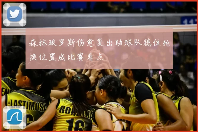 森林狼罗斯伤愈复出助球队稳住轮换位置成比赛看点