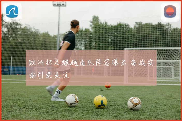 欧洲杯足球越南队阵容曝光 备战安排引发关注