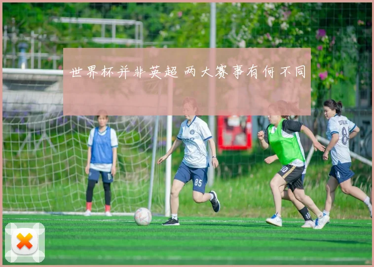 世界杯并非英超 两大赛事有何不同