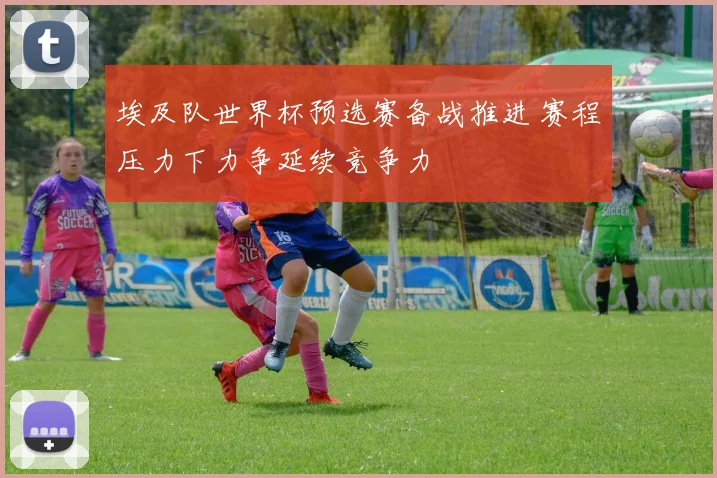 埃及队世界杯预选赛备战推进 赛程压力下力争延续竞争力