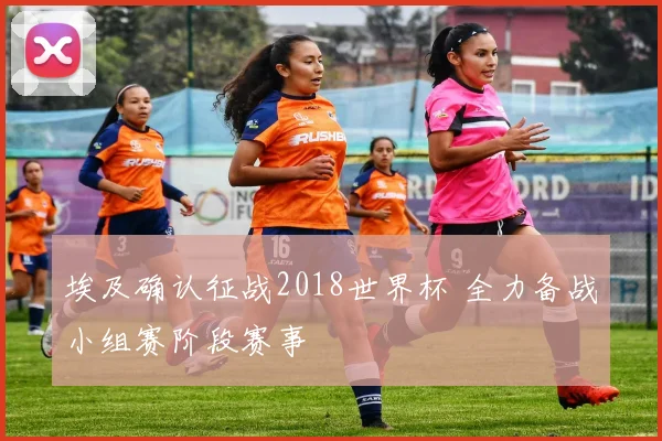 埃及确认征战2018世界杯 全力备战小组赛阶段赛事