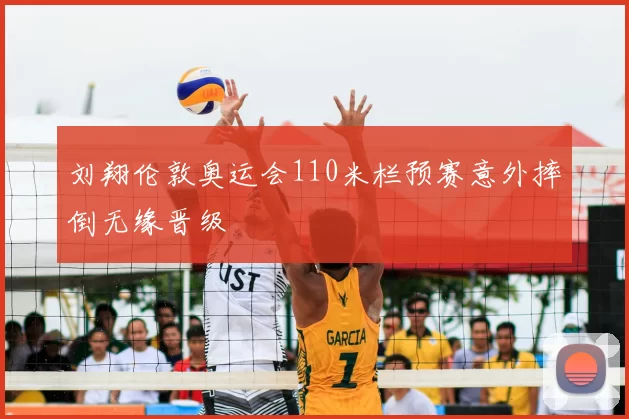 刘翔伦敦奥运会110米栏预赛意外摔倒无缘晋级