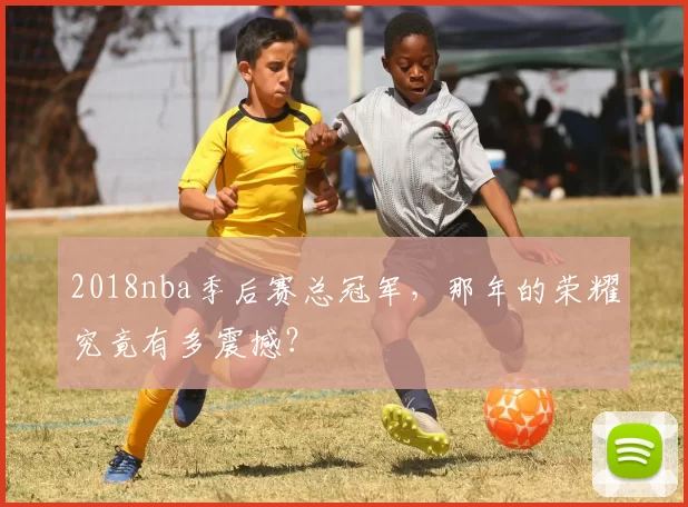2018nba季后赛总冠军,那年的荣耀究竟有多震撼?