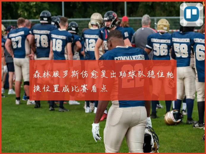 森林狼罗斯伤愈复出助球队稳住轮换位置成比赛看点