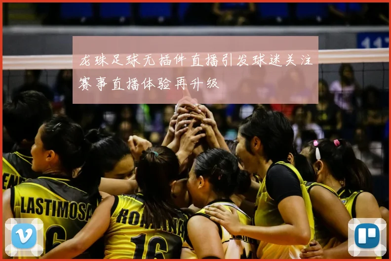 龙珠足球无插件直播引发球迷关注赛事直播体验再升级
