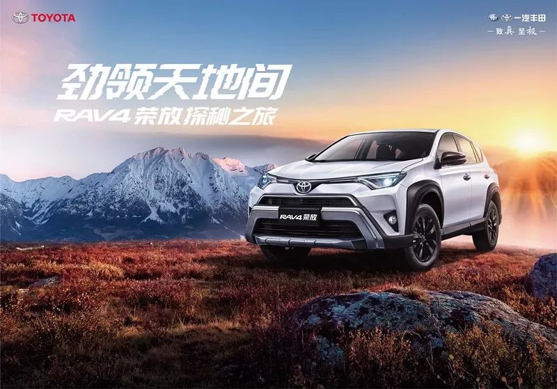 探索RAV409的魅力与特性之旅